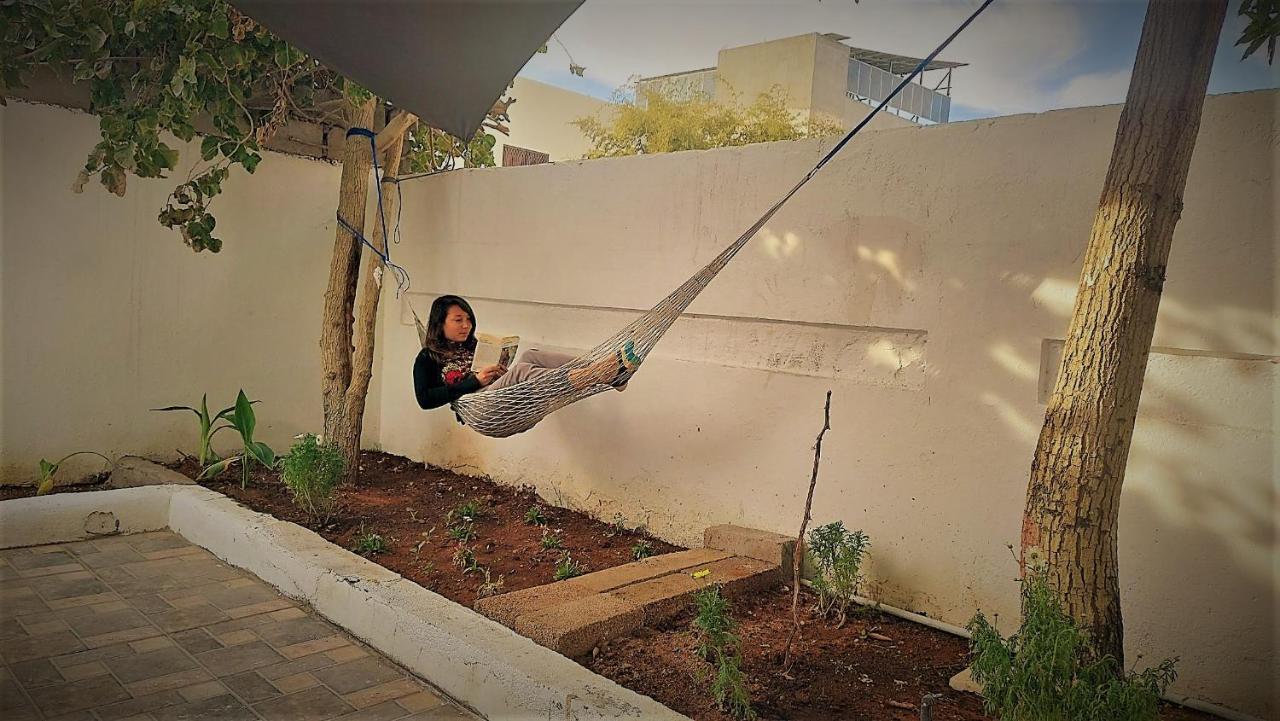 Mango Haus Vandrarhem Aqaba Exteriör bild
