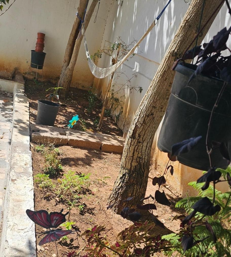 Mango Haus Vandrarhem Aqaba Exteriör bild